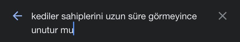 Bu gece burdayım……