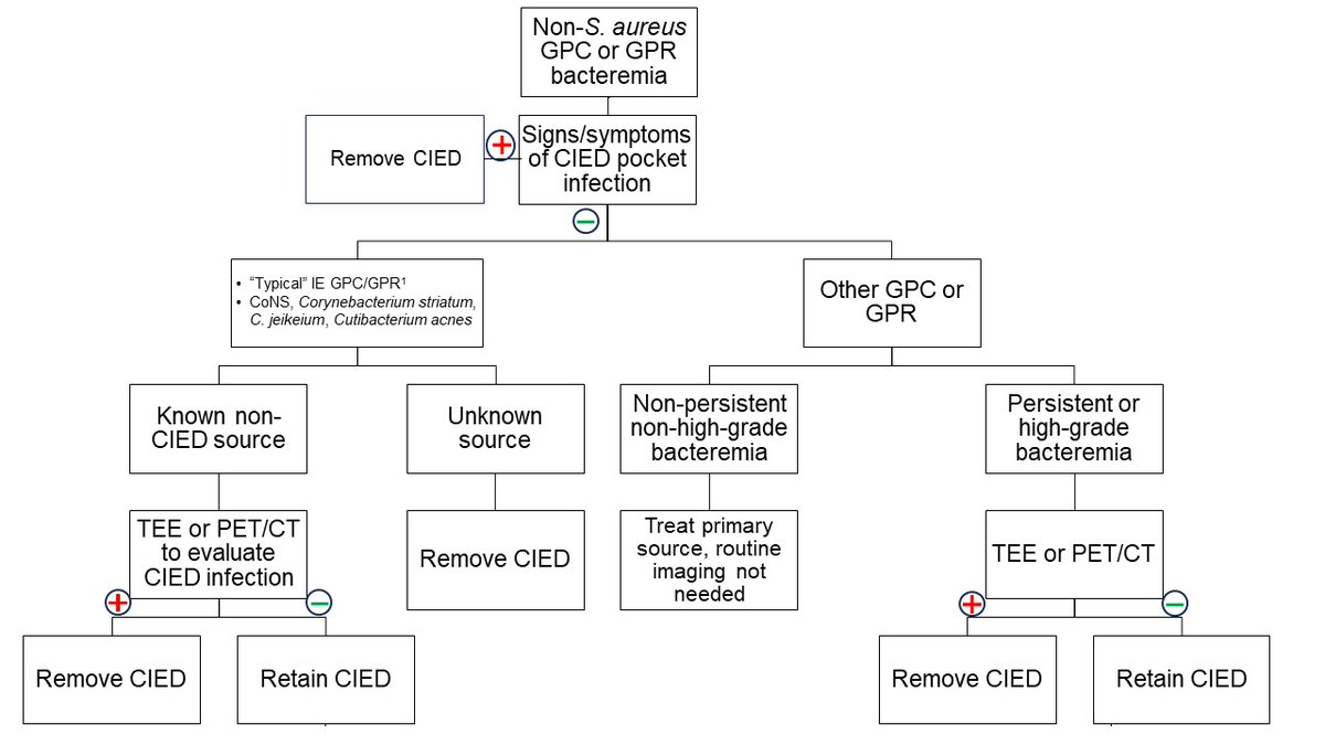 Using imaging to identify potential CIED infection as the source of bacteremia, consider PET-CT along with TEE.

Clinical Approach to Eval of Underlying CIED in Patients Hospitalized w/ Bacteremia @AxellHouse @sarwatt @RizwanSohailMD

#DeBakeyCVJournal doi.org/10.14797/mdcvj…