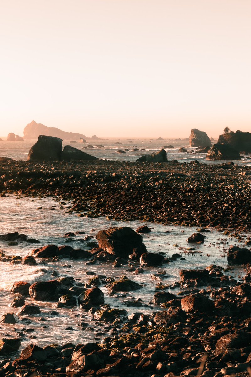 scenes from California