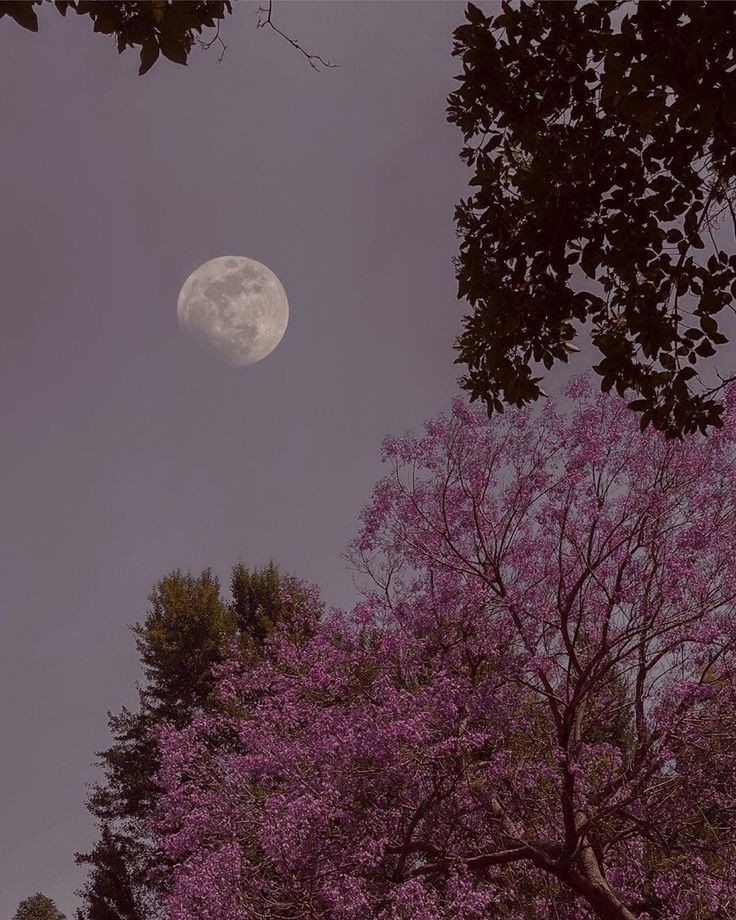 ”o gece seni bir rüya beklemiş 
ama sen sabaha kadar uyumamışsın.”
..
