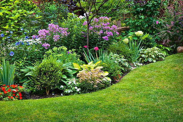 Want to add some color and life to your outdoor space? Let Parker Lawn Care help you with our expert planting services. We'll work with you to choose the perfect plants and flowers for your space and ensure they thrive. Contact us today to schedule your service.