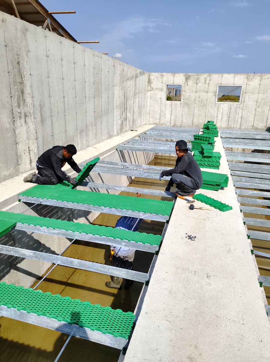 Bryden Hope tweet media