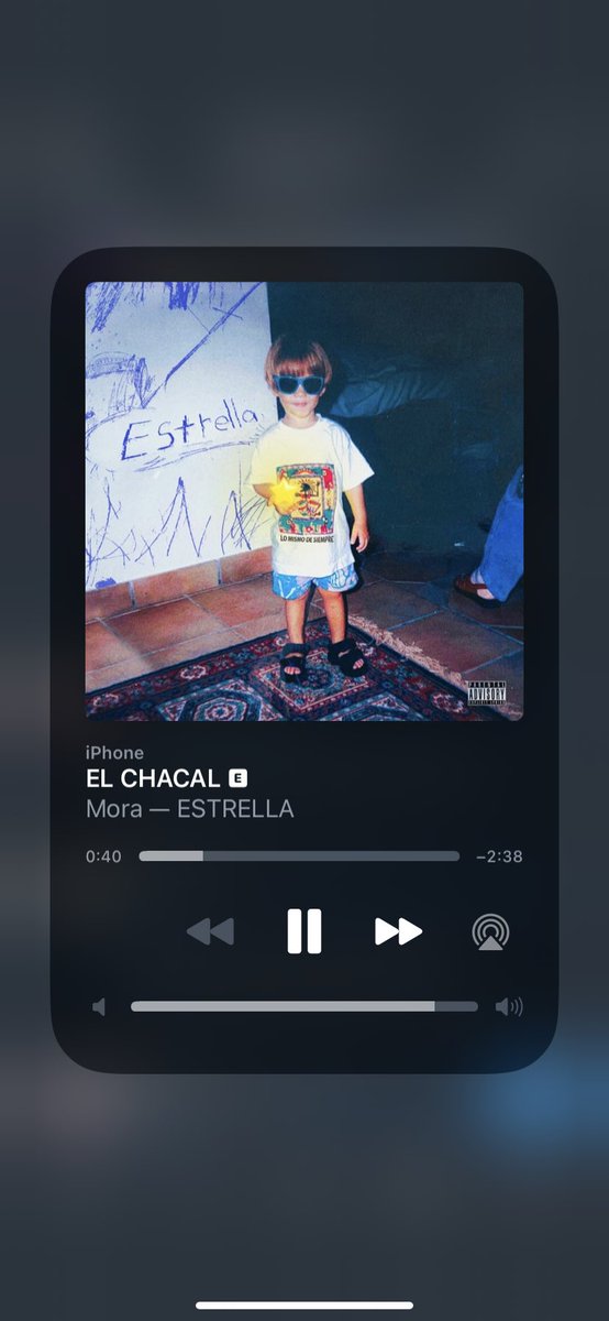 que puto sentido tiene este palo