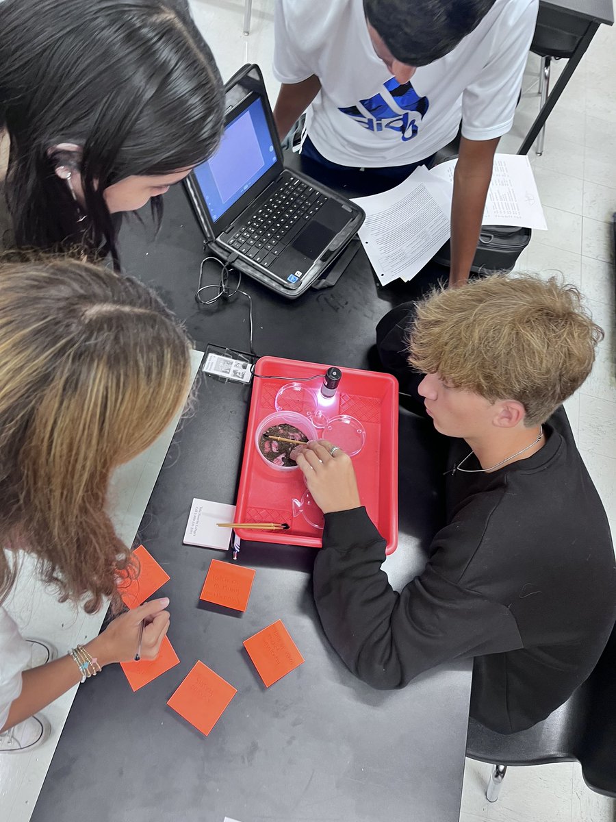 Mttaborbiology's tweet photo. AP Biology at Mount Tabor observing pill bug behaviors so that we can design experiments to test those behaviors. Stay tuned for our results! @Tabor_City https://t.co/0g03FMwR0f