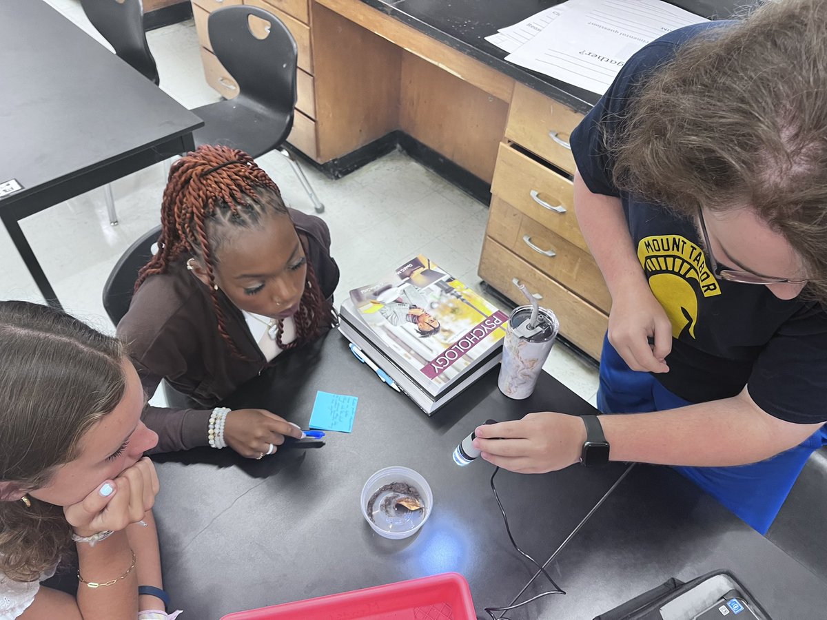 Mttaborbiology's tweet photo. AP Biology at Mount Tabor observing pill bug behaviors so that we can design experiments to test those behaviors. Stay tuned for our results! @Tabor_City https://t.co/0g03FMwR0f