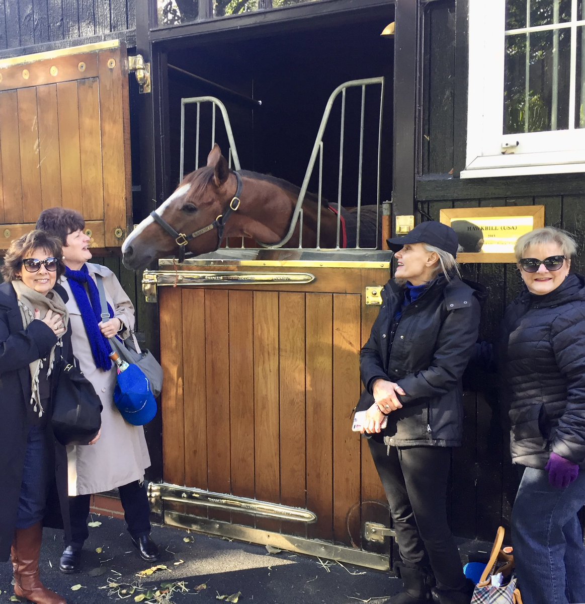 georgiagirl581's tweet photo. @RenCarothers @reredevaux @BelladonnaRaci1 @westpointtbred @MoreSummerWind I met Hawkbill at Dalham Hall Stud in Newmarket on October 26 2018 MTR is always in my heart ! Fearless Warrior so beloved @VineryStud Love his girls especially #RushingFall ! Wishing continued success with the Ebby/ MTR baby !! Congrats to @reredevaux ! My📸 https://t.co/0o0PcQ5h3L
