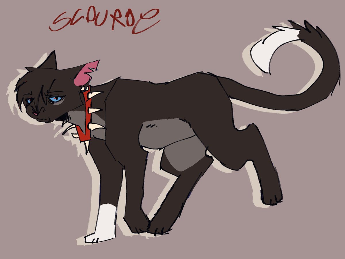 ghostarting's tweet photo. felt like drawing the emo warrior gato! i did a classic emo design and a more normal version. hes always gonna have the emo bangs in my mind tho https://t.co/LLhh4ALiuA