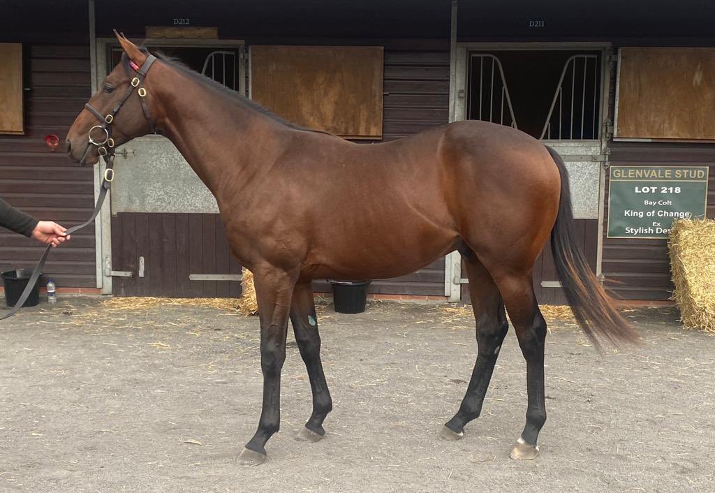 💫 Lot 75 💫 @Doyle_Racing also purchased this classy Camacho colt for us 😍 Camacho is a good source for 2-year-old winners, so we cannot wait to see how this guy performs on the track! Head to our website to get involved 👀 #richardhannonracing #RH