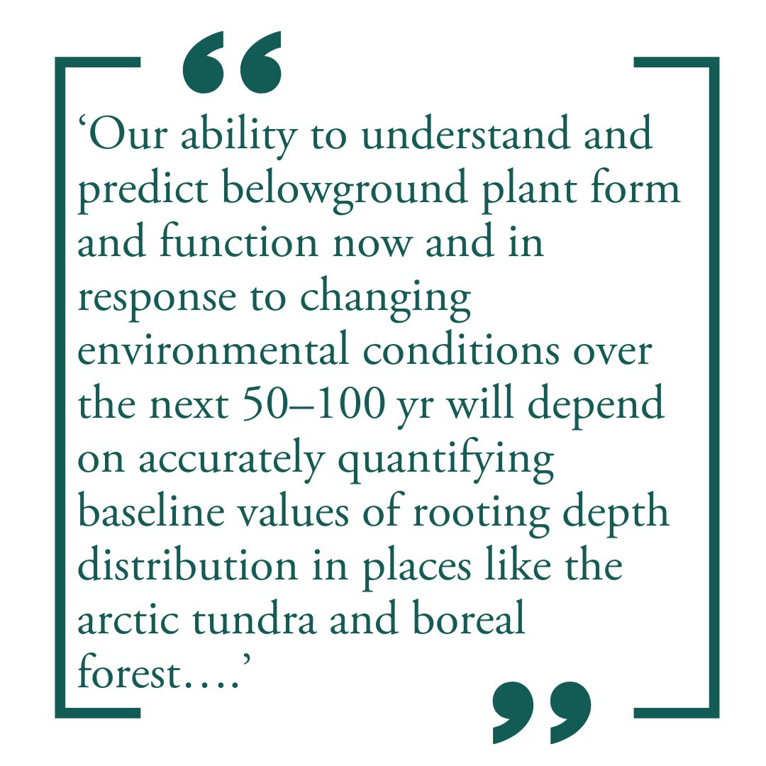 New Phytologist tweet media