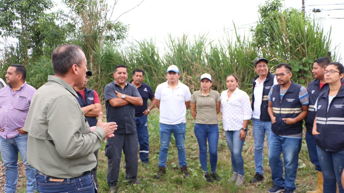AgrocalidadEC's tweet photo. #SantoDomingo | Realizamos capacitación práctica en síntomas y manejo de la pudrición del cogollo, anillo rojo y trampeo de gualpa en cultivos de palma aceitera para fortalecer los conocimientos de los técnicos en la identificación de plagas en campo.
#CultivosSanosYDeCalidad https://t.co/O4cHbGB7n0