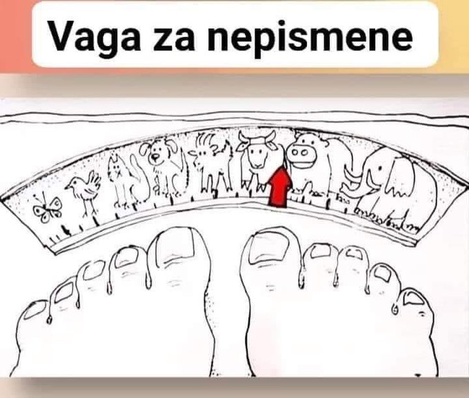 F4ucuggXIAEQzWx?format=jpg&name=small