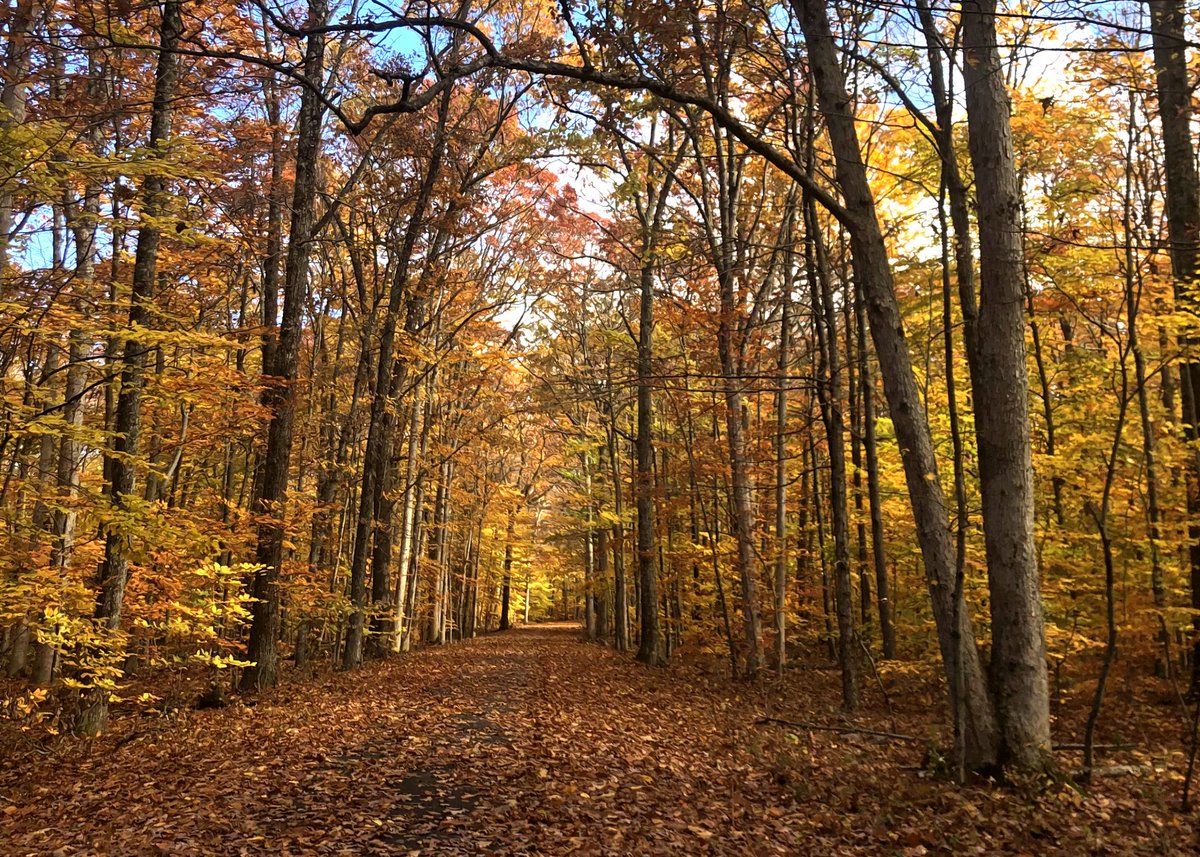 NewJerseyDEP's tweet photo. Friendly reminder that fall is around the corner and New Jersey is about to look like this 😍🍂🍃

#NJFall #FallFoliage #NewJersey https://t.co/yJV4mqLDJ3