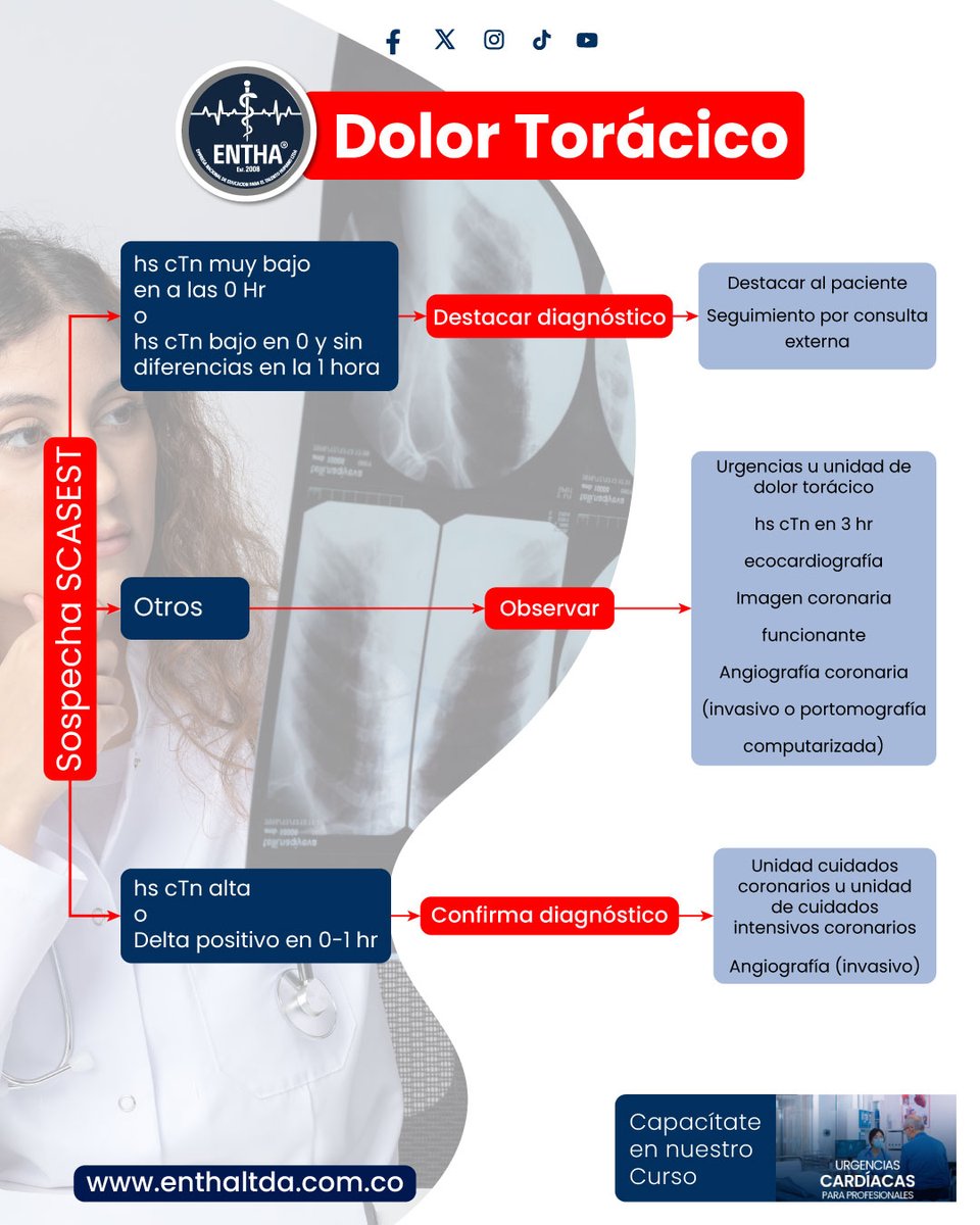 enthaltda's tweet photo. 🤕 Dolor Torácico. 

🌐 Fuente: Sociedad Colombiana de Cardiología y Cirugía Cardiovascular.

🔗 https://t.co/EwqQXaexD1 

#dolortoracico #dolortoracicoatipico #dolortorácico #dolortoracicoagudo https://t.co/XLOu2zRAIL
