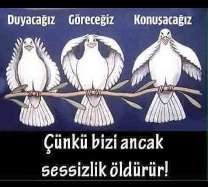 Mustafa53340534's tweet photo. @Adalet82_82 He vallahi insan her gün daha çok anlıyor https://t.co/YEtuLTi3CS