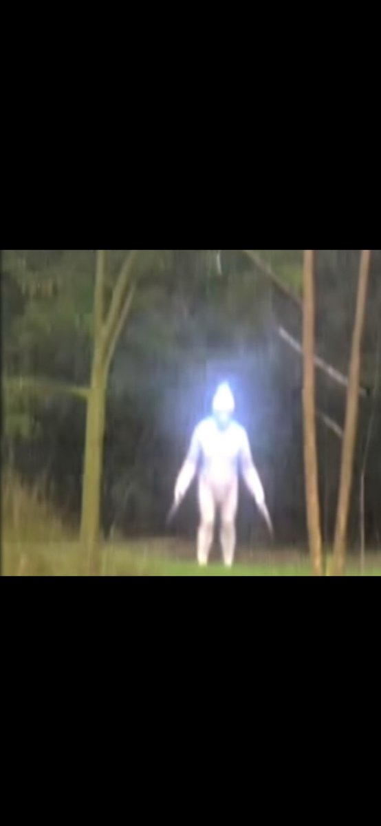 paulandrewwells's tweet photo. @RonyVernet This image has not been shown
What do you think about this photo that was taken..

#Iquitos #Peru #ufo #uap #alien #reptilian #spaceforce #humanmutilation https://t.co/6WuHqaAcxm