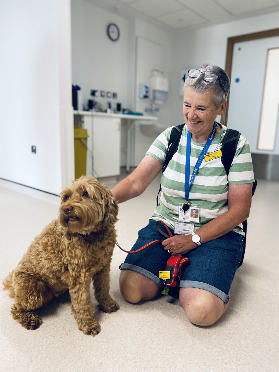 What day is it?? Pet therapy day!! Our lovely Billie (dog) and Jane (human) pet therapy team! <a href="/janestokes13/">Jane Stokes - Photographer 💙</a>