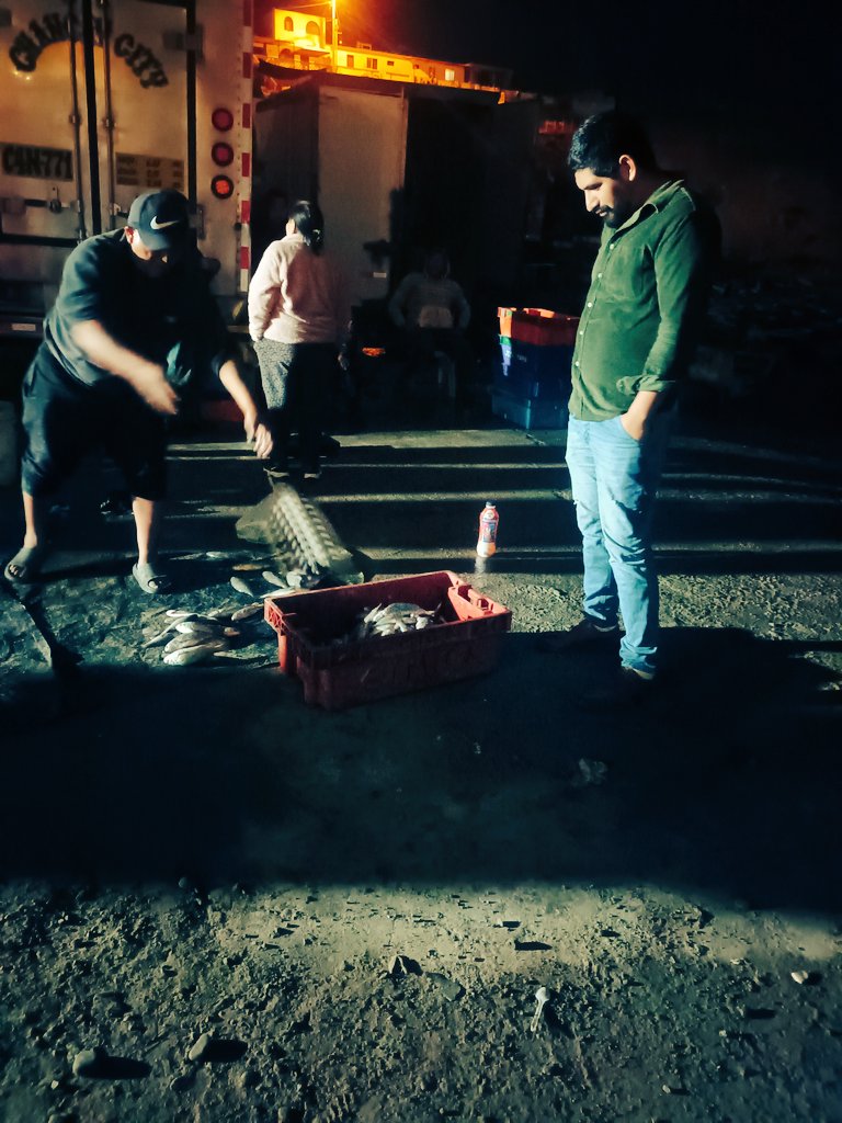 jor_estrellazyl's tweet photo. El derrame de petróleo por parte de @Repsol ha sido calificado por el OEFA como el mayor desastre ecológico ocurrido en el Perú.

Las olas contaminadas con el crudo se expandieron a lugares tan distantes de Ventanilla, como Ancón y Santa Rosa al norte de la provincia de Lima.. https://t.co/uLNnaHLU5X