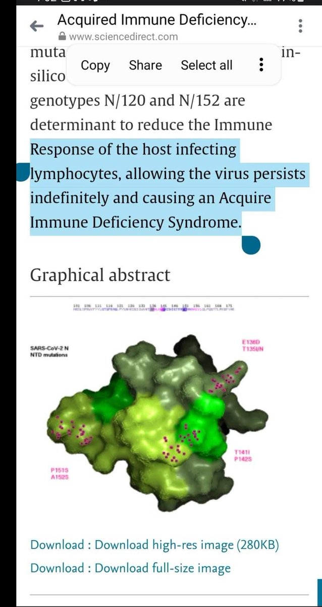 marcfavell's tweet photo. @Burek2Dan @spindezine @EnemyInAState It's not the flu nor will it ever be like the flu, only the symptoms are comparable it's way more highly pathogenic than seasonal influenza nor does SARS2 🦠 care what season it is
It kills your immune system to #CD4 #CD8 #T_Cells #SARS_CoV_2 #WimdsorOn 🇨🇦🍀 https://t.co/meSBUpdZde