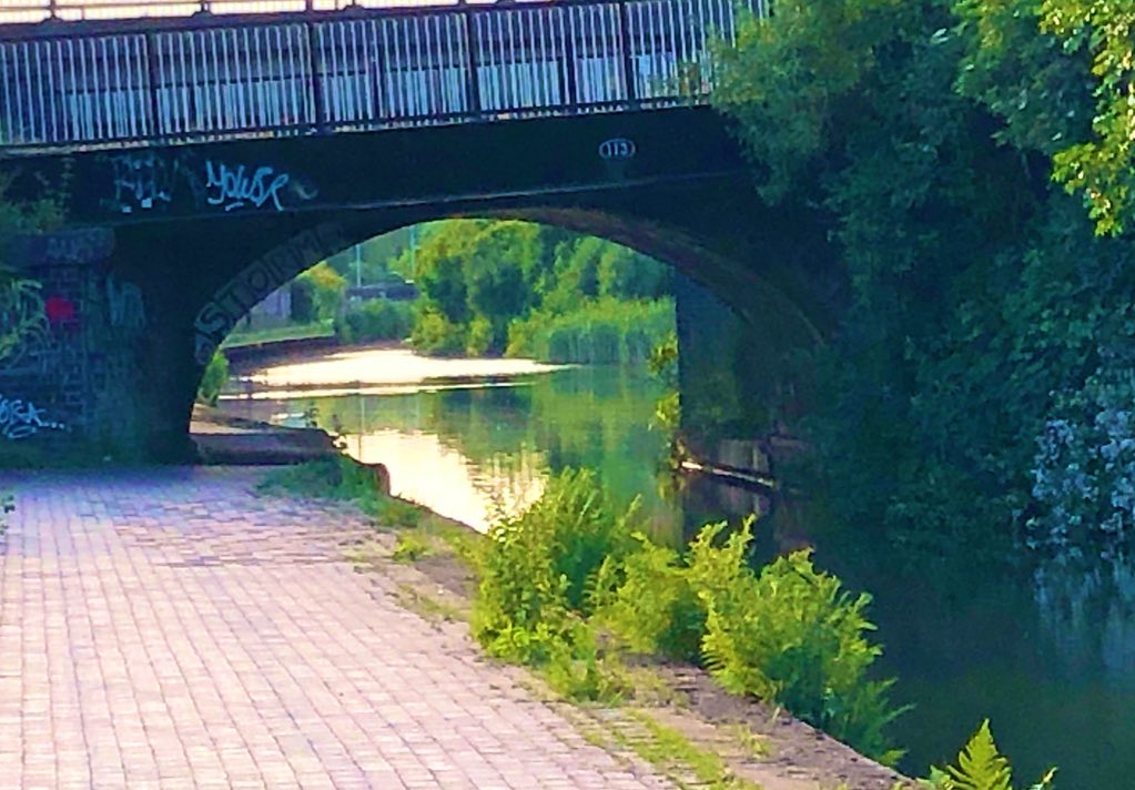 Lovely evening wandering along the canal catching up with a mate being #AHPsActive with the added bonus of seeing a kingfisher