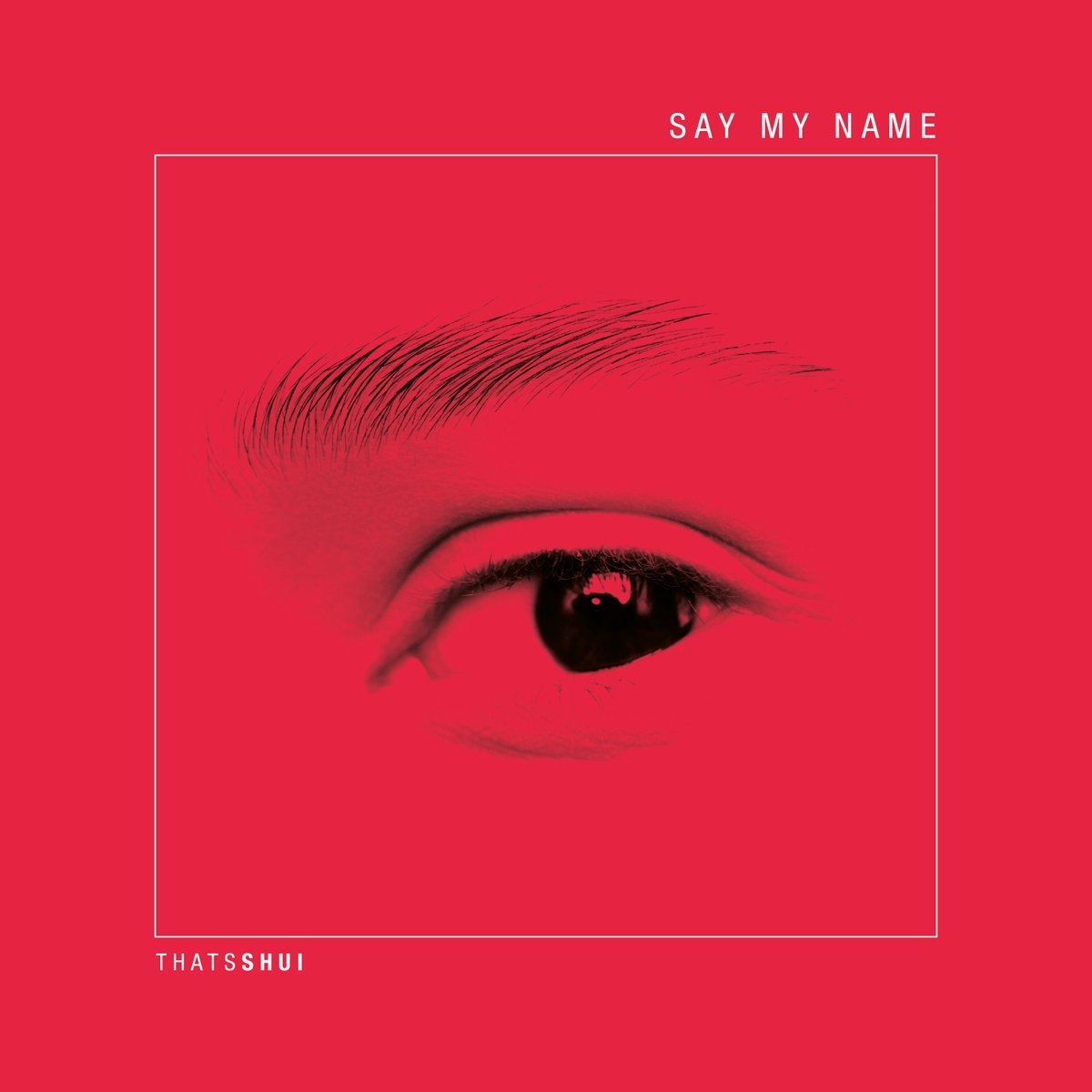 songwhip.com/thatsshui/say-…

#TechHouse #housemusic