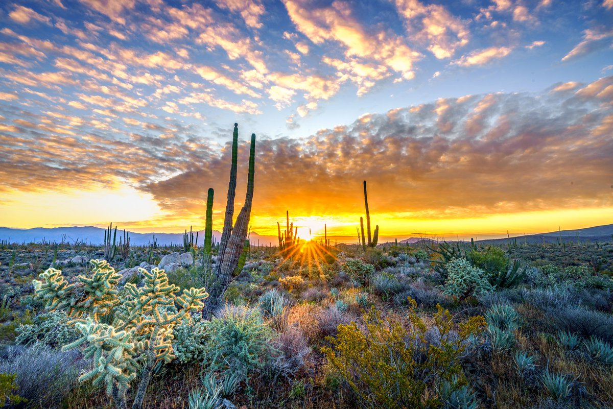 downhilltrucker's tweet photo. Good morning!
#baja #photography #sunrise #starburst https://t.co/GFeJC7Ly9W