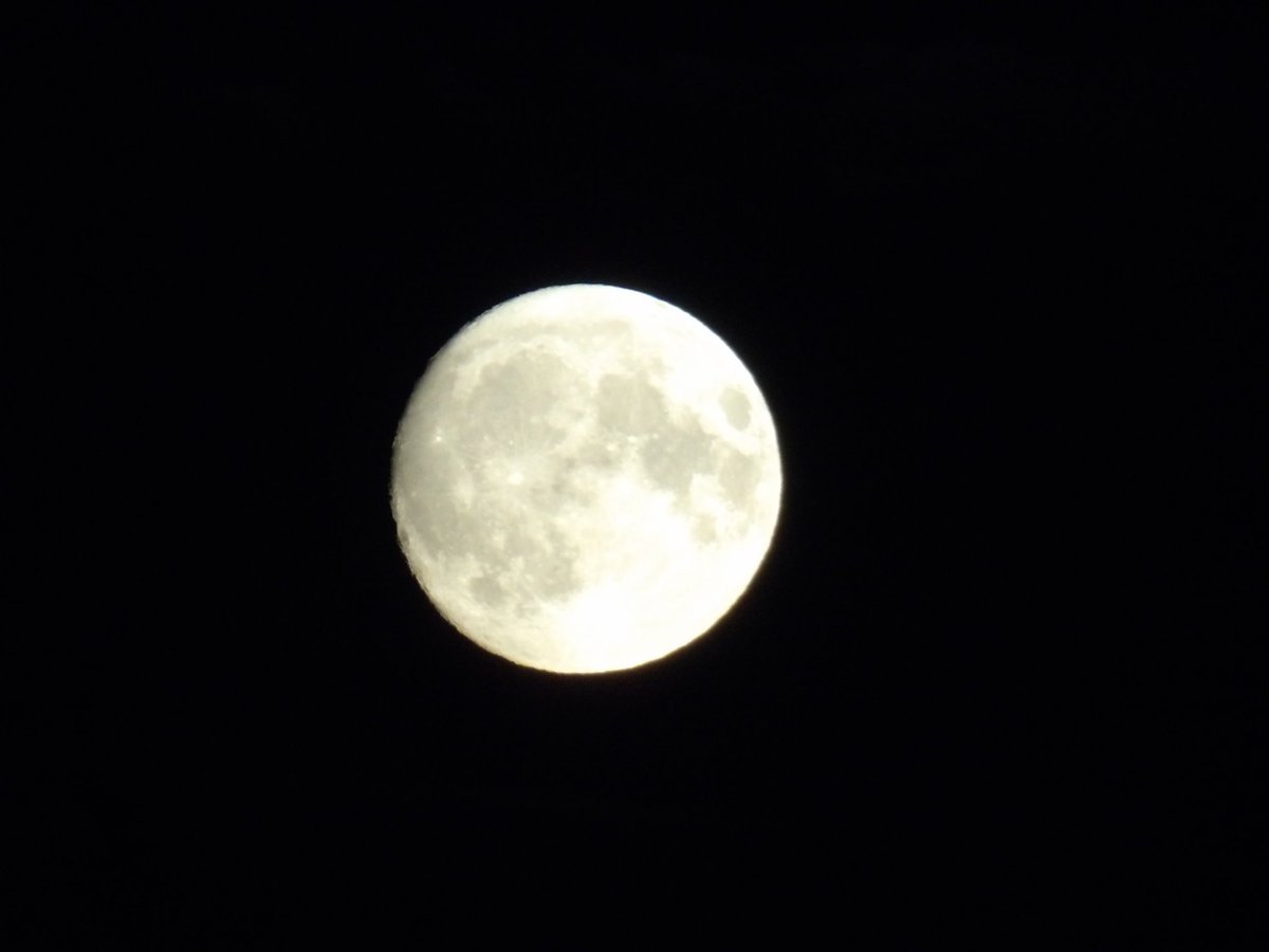 KarnaD91's tweet photo. Once in a blue moon 🌕🩶
#BlueMoon #IrelandBlueMoon #SuperMoon https://t.co/qiKCNHQHp8