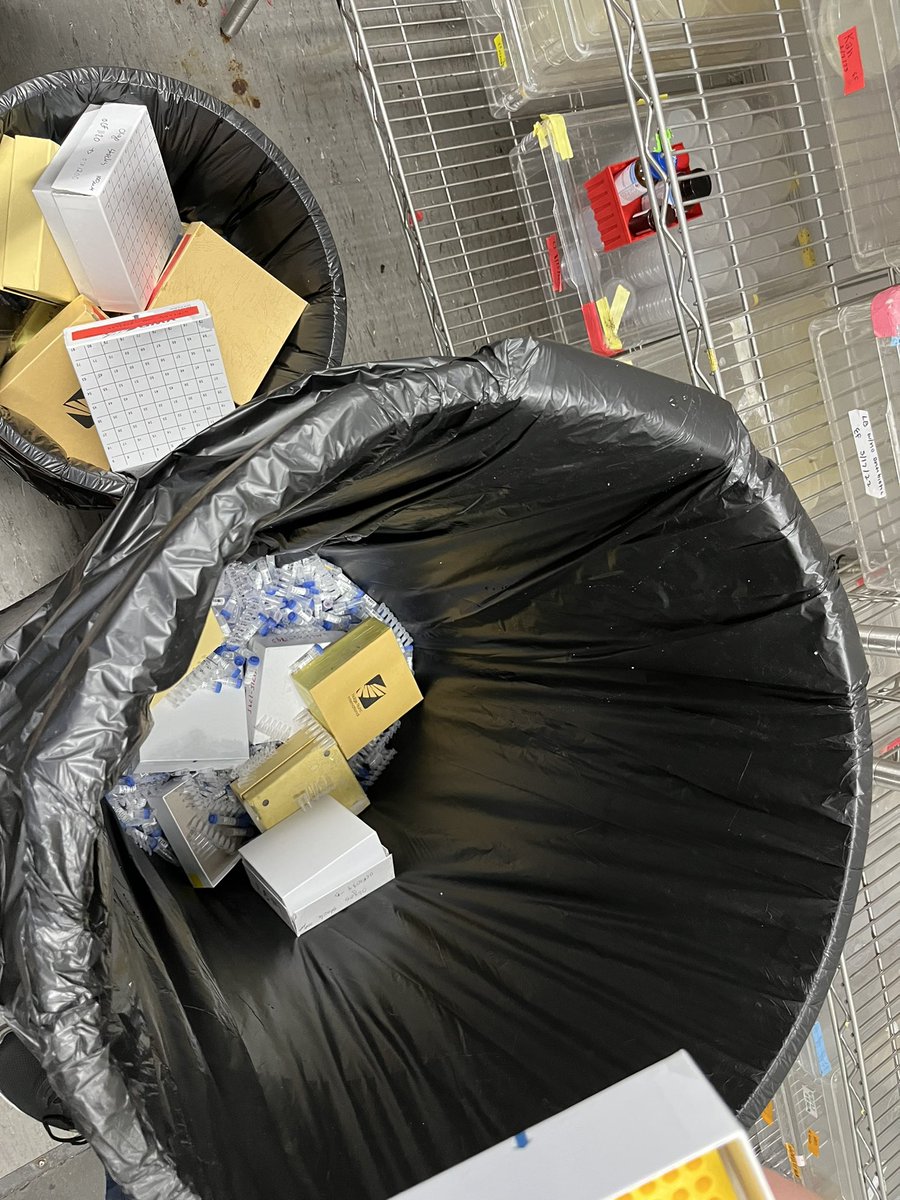 Matt Rich tweet media