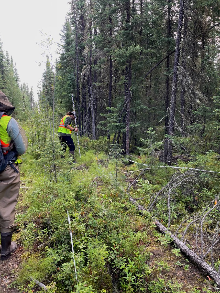 AppliedGRG tweet media