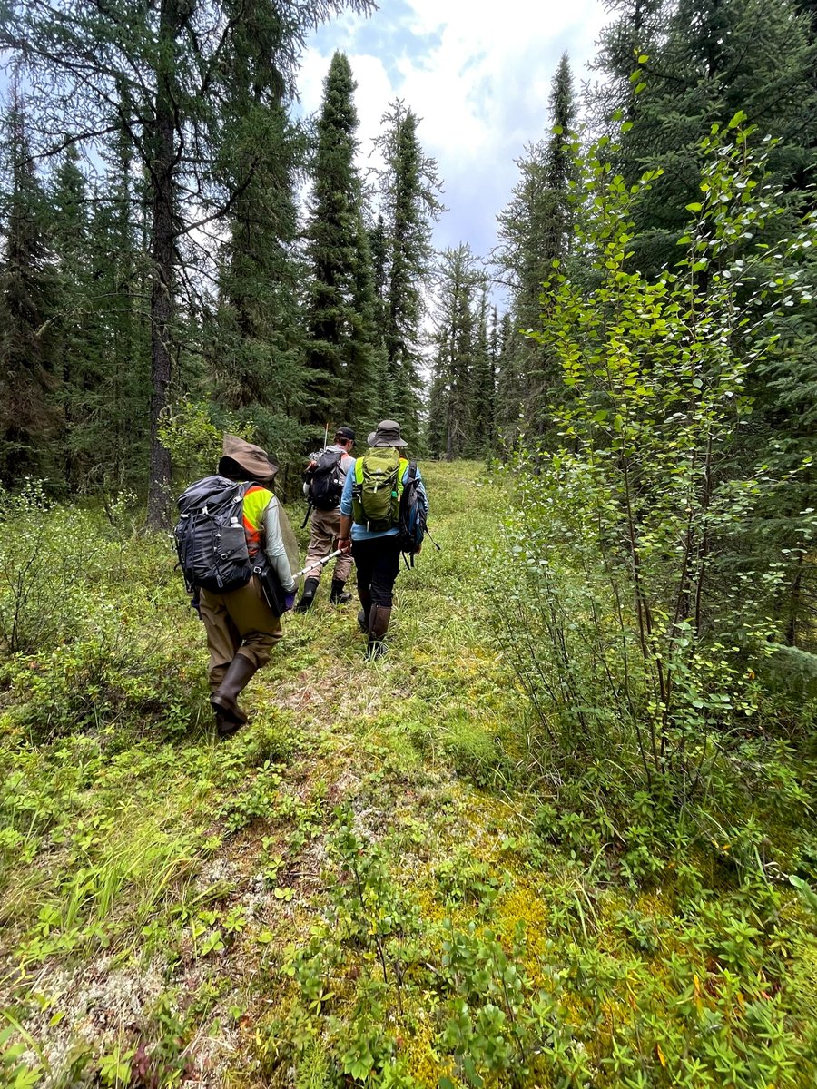 AppliedGRG tweet media