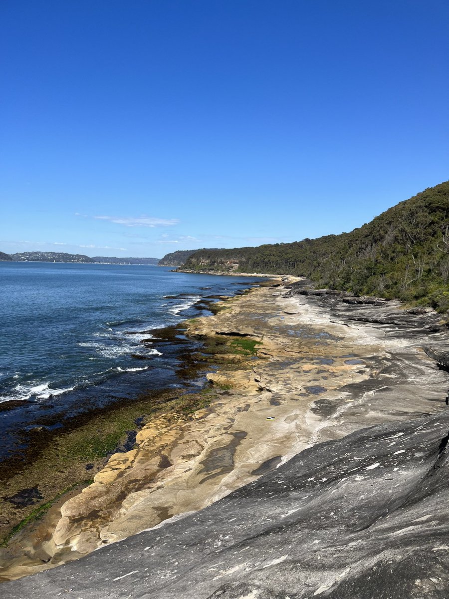 Ze Hoe Lee tweet media