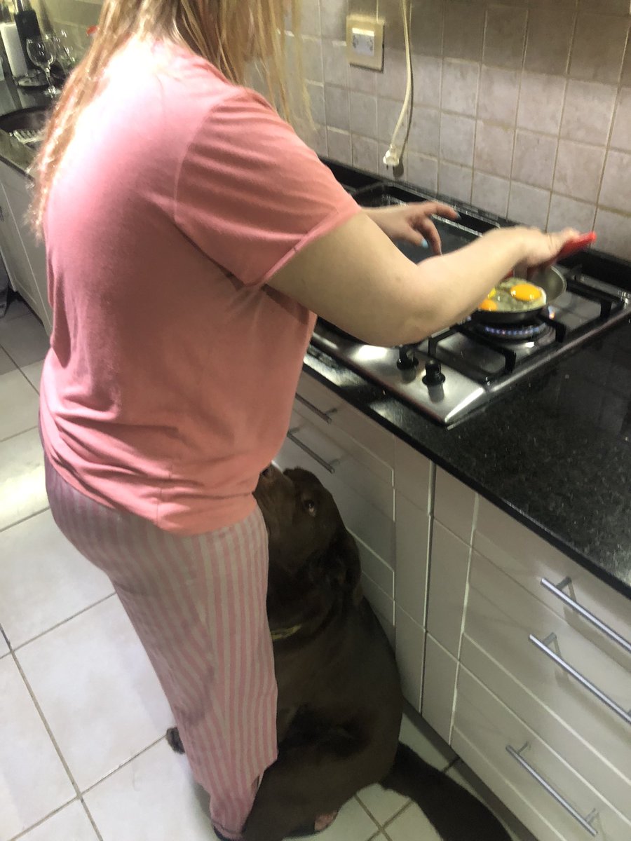 prokopiwluca's tweet photo. Wally tiene miedo q lo dejemos solo sino no se explica https://t.co/ckbIV8rtJg