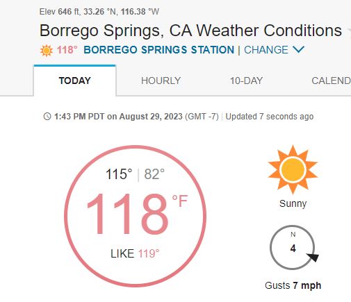 thunefeld's tweet photo. it's hot here in the Sonoran desert of eastern san diego... even the desert scorpions are seeking shelter in the irrigated shrubs    #AnzaBorregoDesertStatePark https://t.co/YDgM5Yk54Z… https://t.co/JM7WwrYjfh #AnzaBorregoTrackingTeam  
#AnzaBorregoDesert #BorregoSprings https://t.co/oSQHMuxHxO