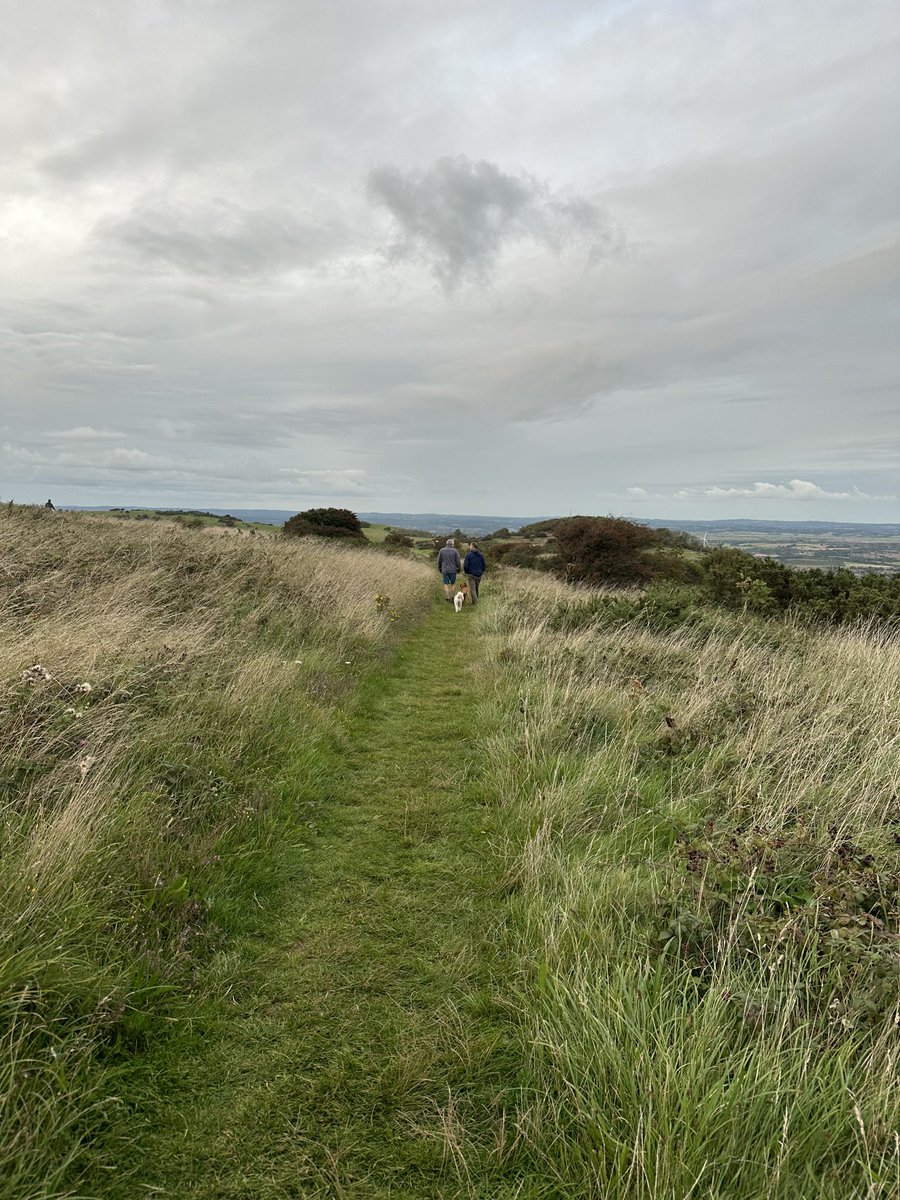 anne_canby's tweet photo. #AHPsActive #WalkAfterWork @ESHT_AHPs https://t.co/AyAAclJixs