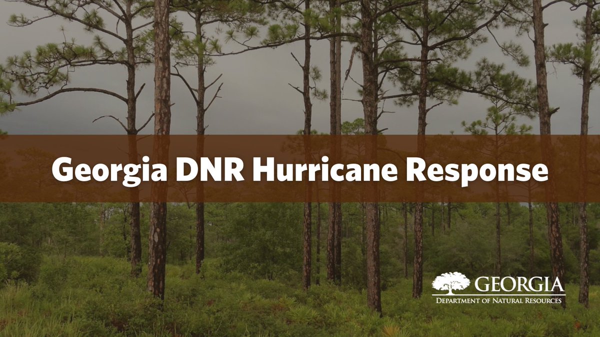 Georgia DNR is #StormReady and available in preparation of Hurricane Idalia. <a href="/GovKemp/">Governor Brian P. Kemp</a> has issued a state of emergency. Current state park information can be found at: gastateparks.org/alerts

<a href="/CoastalGADNR/">Coastal Resources Division - Georgia DNR</a> <a href="/GaStateParks/">Georgia State Parks</a> <a href="/GaDNRLE/">LE Division - GA DNR</a>