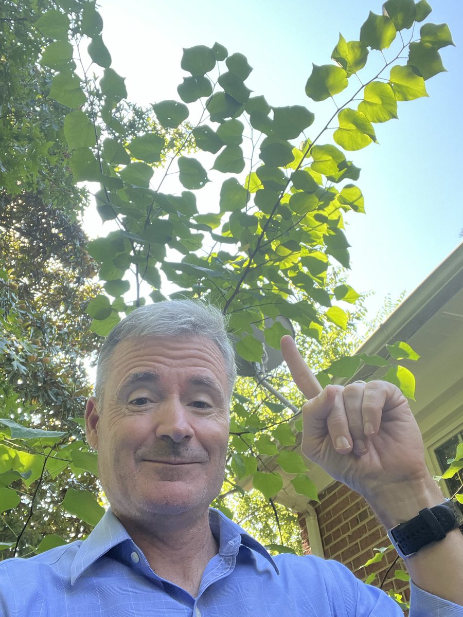 You ever heard this one?

“Sure, we can plant more 🌳 in cities, but it will be decades before they do any good.”

Not even close to true. 

Just ask my 6 year-old redbud planted as a seedling. Further, most 🌳 we plant in 🌆 are already saplings like this. <a href="/AmericanForests/">American Forests</a>