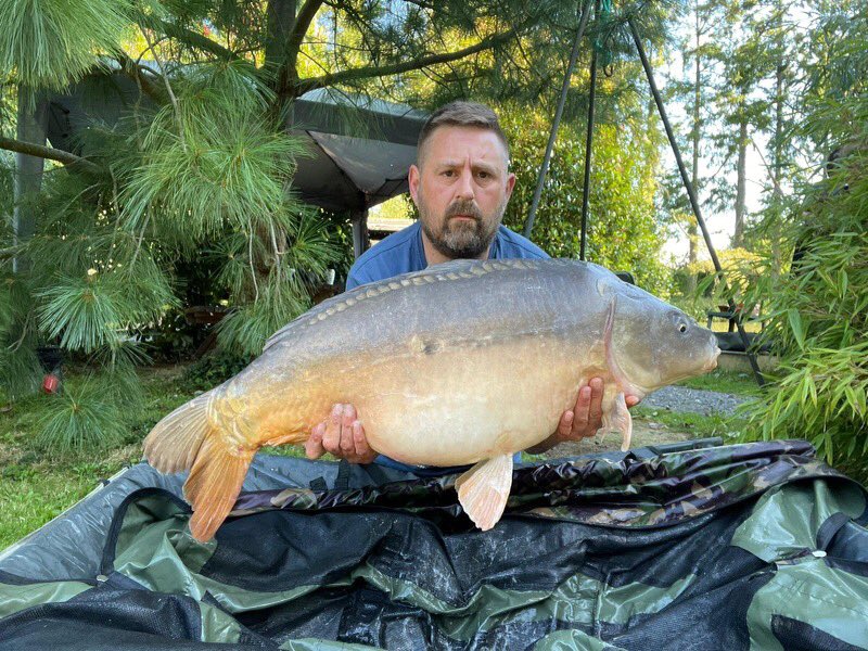 Galaxy Baits tweet media