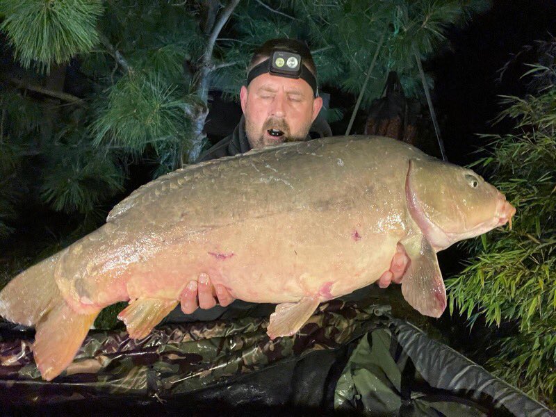 Galaxy Baits tweet media