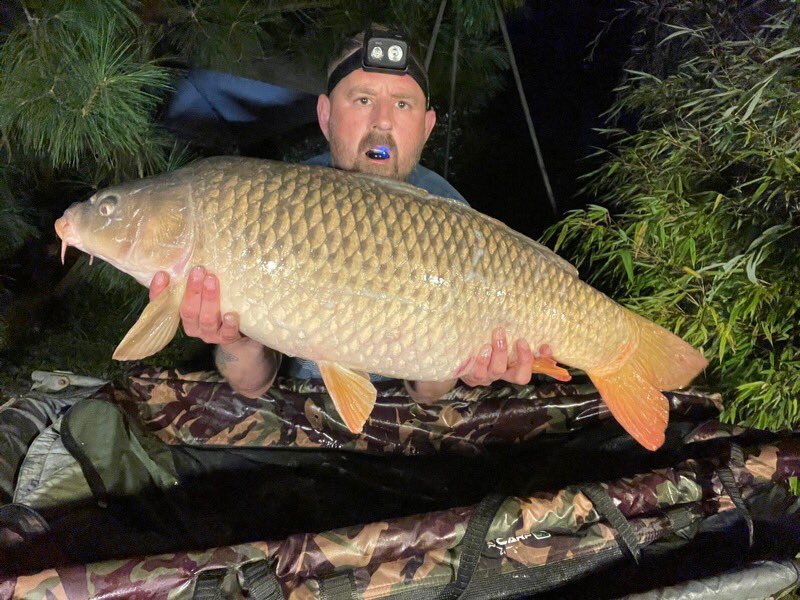 Galaxy Baits tweet media