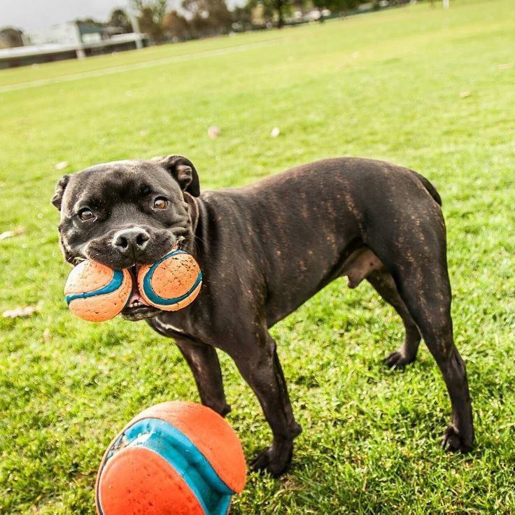 paramuswireless's tweet image. 😈😈😈💪💪💪