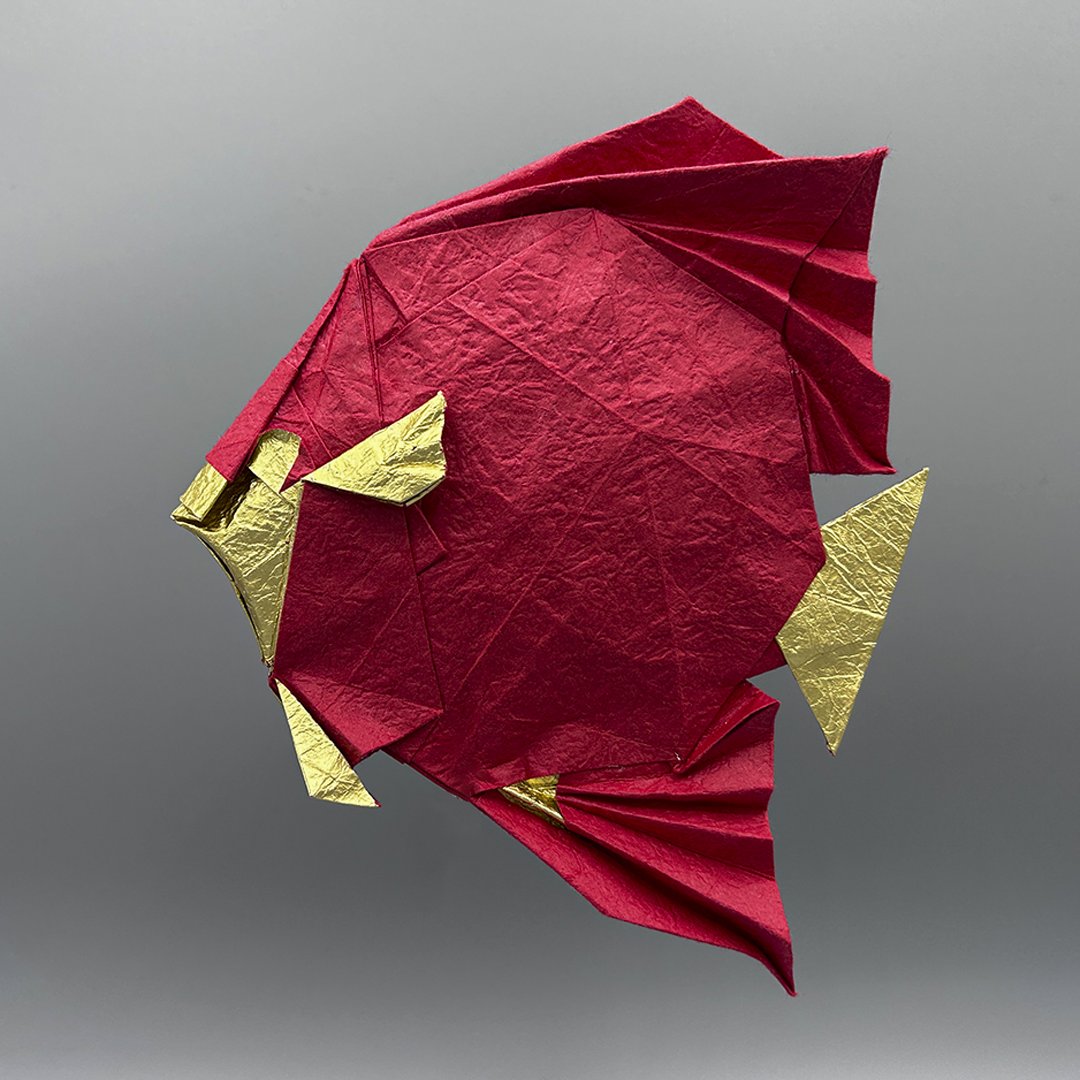origamitor's tweet photo. 🐠 Discus  (Takuro Kashiwamura), folded by me using a 35cm sheet of washi deluxe.

Timelapse: https://t.co/aNEThShrKg https://t.co/RwdpcAbAOq