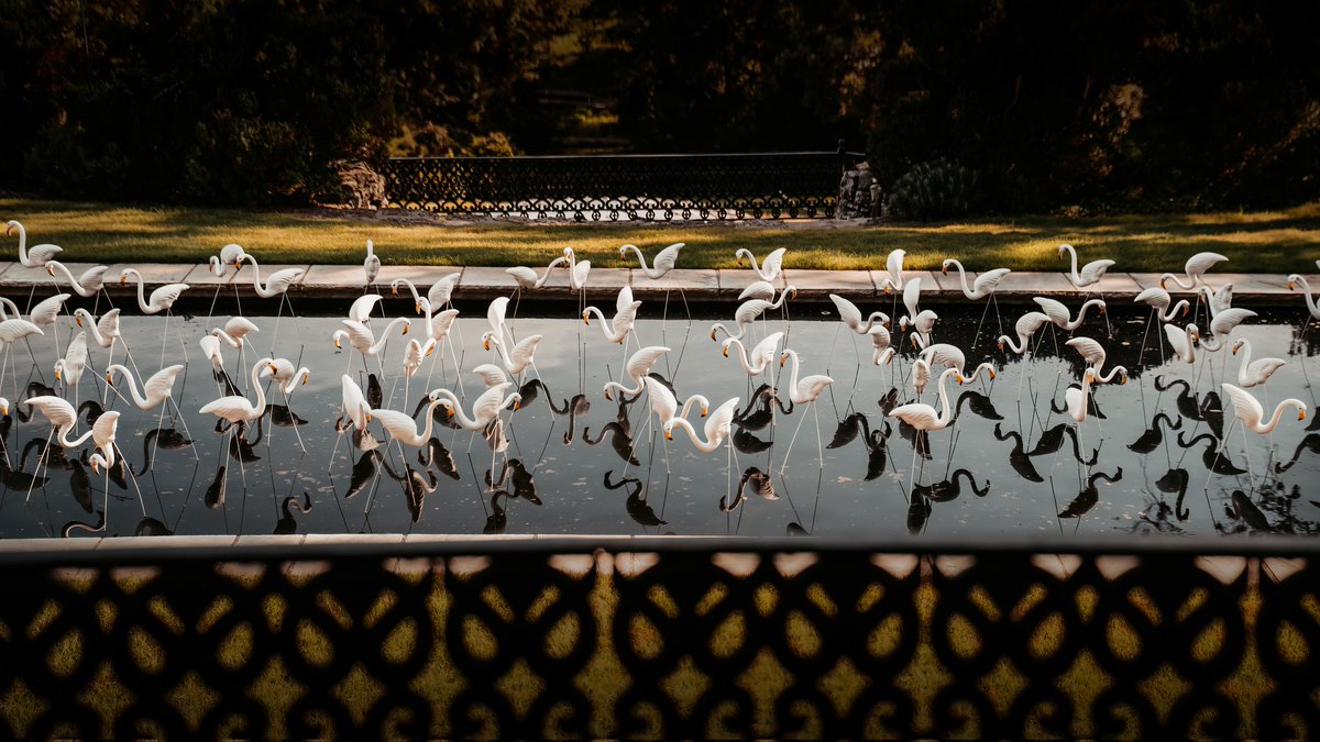 KVAvisual's tweet image. Cheekwood Botanical Gardens