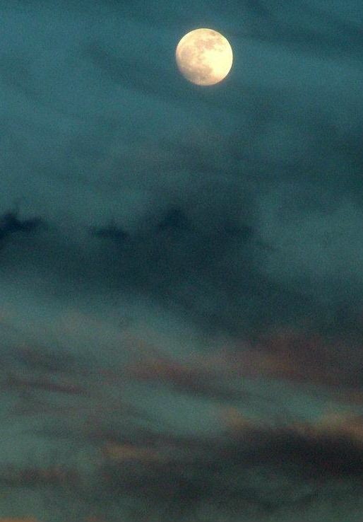 "Aya mı gülümsedin? 
Bu ne güzel gece..." 

Atilla İlhan