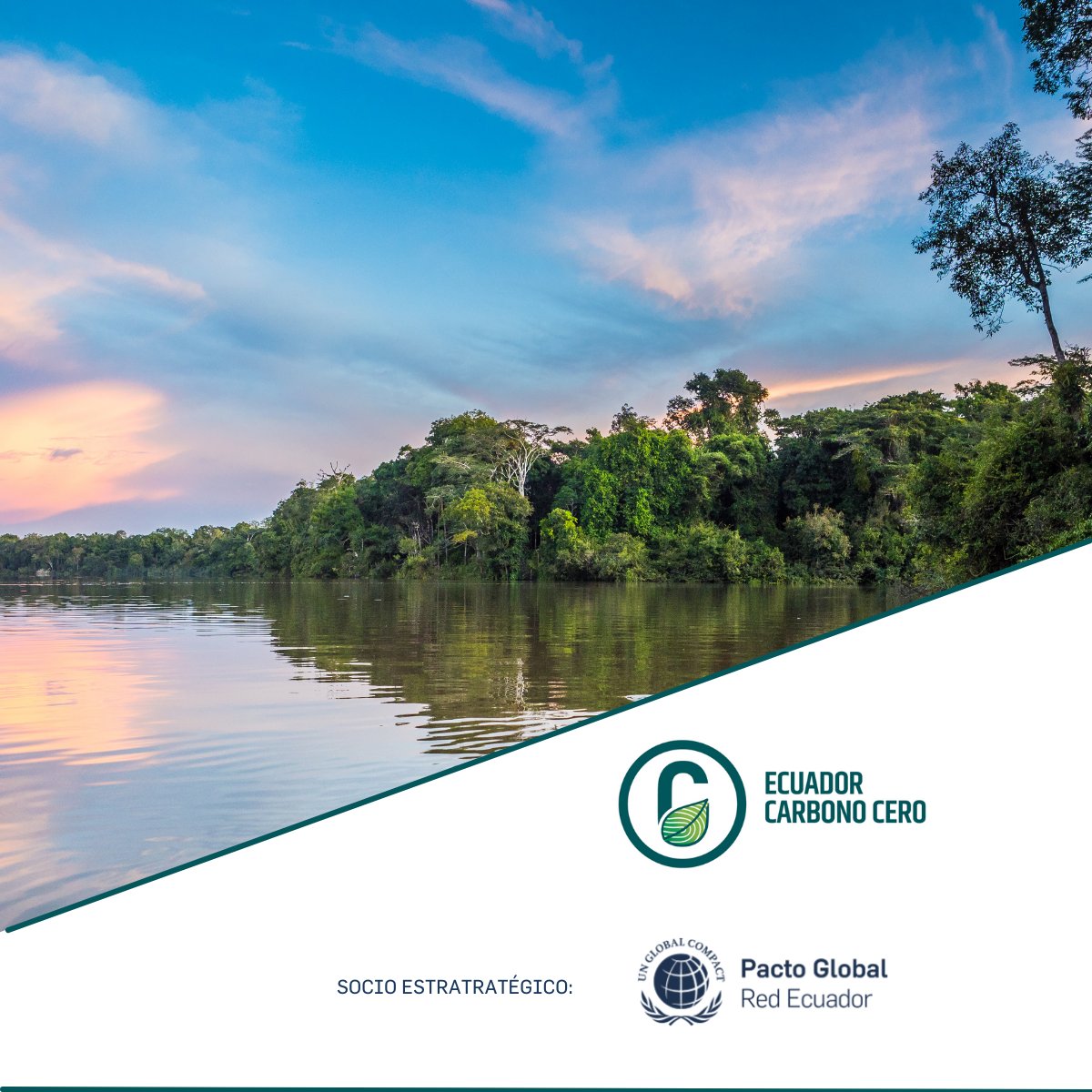 PactoGlobalEcua's tweet photo. En el marco del programa Ecuador Carbono Cero que lleva a cabo @Ambiente_Ec y del cual Pacto Global Ecuador es socio estratégico queremos extender nuestras más sinceras felicitaciones a las 16 empresas participantes de Pacto Global Ecuador por ser reconocidas con la certificación de reducción de la huella de carbono y la distinción de la cuantificación de la huella de carbono:

@AgripacEcuador, @asiservy, @BancoGuayaquil, @BaninterEc, Banco Procredit, @Ordeno_Oficial, Ferro Torre, Grupo Entregas, @LeParcHotelEc, @hvozandesquito, @IdealAlambrecB, @j3mglobal, @OCPEcuador, Orion Energy, @SSemaica y @ProcarsaEc; sus acciones reflejan su gran compromiso para actuar frente al #cambioclimático.