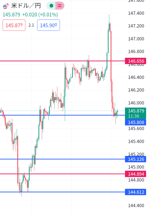 夜間に急落するも145.800円付近での反発。
広い目で見ると上昇は続いているのでロングポジション。 #FX初心者 #ドル円
