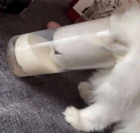 HumTwinkle's tweet image. I have found da moik drinker