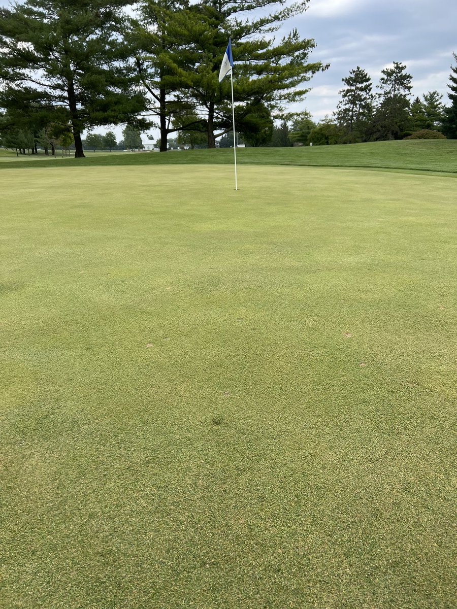 NWGirlsGolf's tweet photo. ACE ALERT!!!
Leah had a hole in one on #5 at McCormick today at practice!! Second pic shows where her ball landed

Let’s goooo!!! 🐾🐾 https://t.co/b6Sp1rVEaT