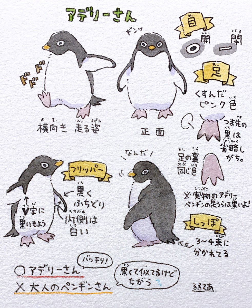アデリーさん パーツ紹介 