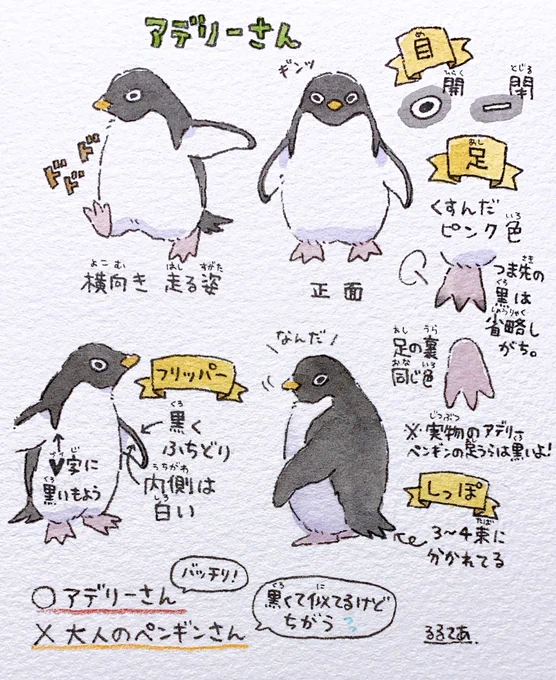 アデリーさん パーツ紹介 