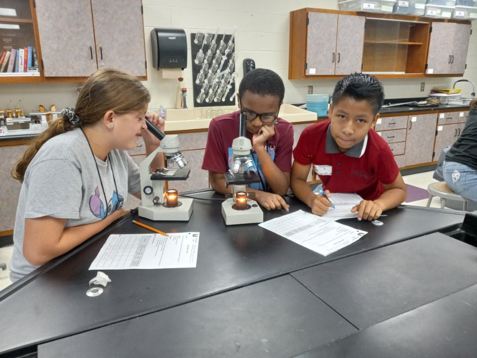 🔬 Exciting day in Ms. Davis's 6th grade science class! 👀 Students dove into a microscopic world, exploring paramecium, bacteria, pine needles, volcanic ash, and even observing live springtails up close! 🔍 #ScienceAdventures #MicroscopicWonders