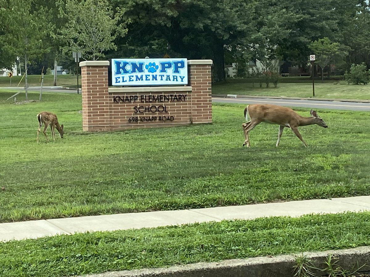 Amanda Blocklinger (@ablocklinger) on Twitter photo Even the deer came out for our first day! It was a great one, full of smiling faces!! <a href="/NPSD/">North Penn School District</a> <a href="/JenSicinskiNPSD/">Jen Sicinski</a> <a href="/KnappElementary/">Knapp Elementary</a> Even the deer came out for our first day! It was a great one, full of smiling faces!! <a href="/NPSD/">North Penn School District</a> <a href="/JenSicinskiNPSD/">Jen Sicinski</a> <a href="/KnappElementary/">Knapp Elementary</a>